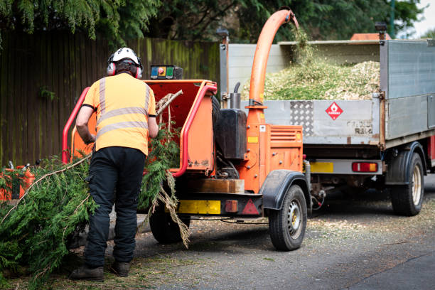 Best Artificial Turf Installation  in Centerville, UT